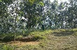 Ban chỉ đạo Tây Bắc triển khai nhiệm vụ năm 2013 